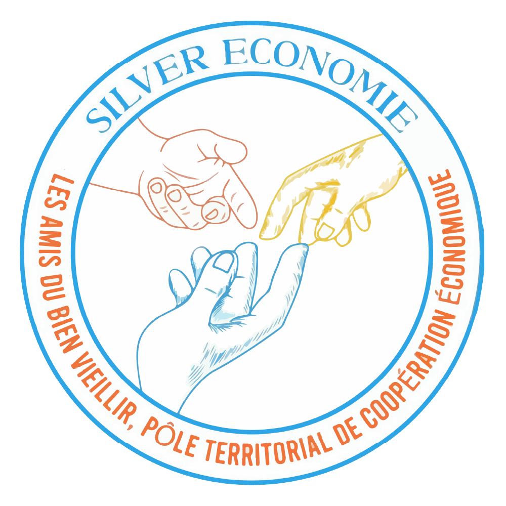 cci-sap-silver-silver-economie